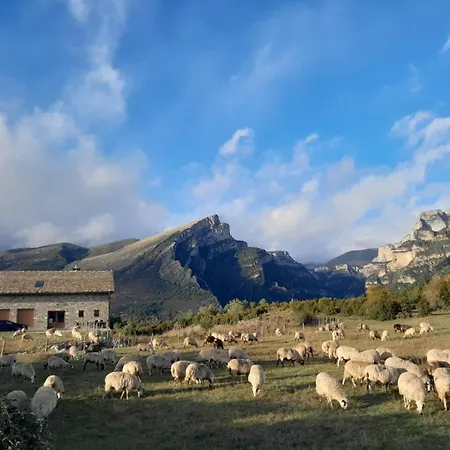 As Fuebas De Patricio