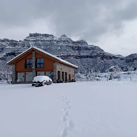 As Fuebas De Patricio