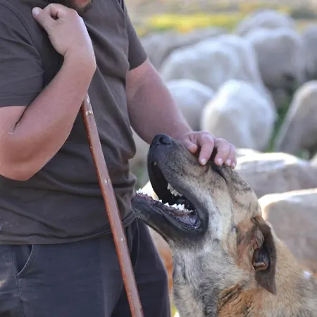 As Fuebas De Patricio