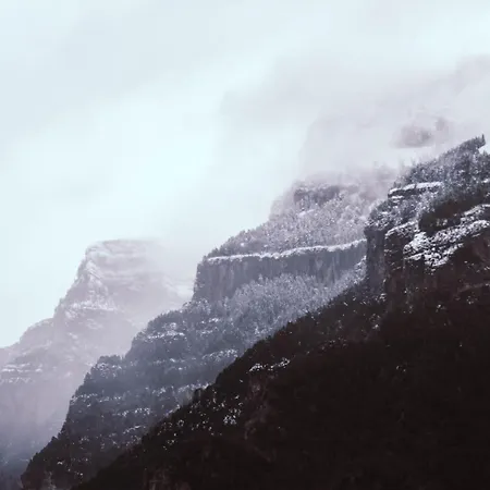 As Fuebas De Patricio Vio