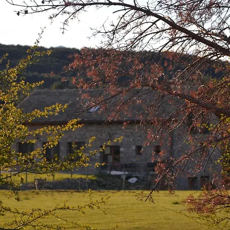 As Fuebas De Patricio