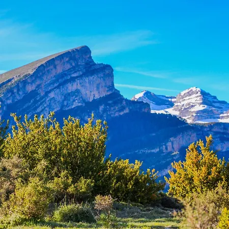 As Fuebas De Patricio Vio