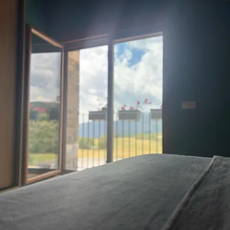 As Fuebas De Patricio Vio