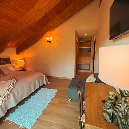 As Fuebas De Patricio Vio