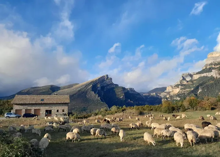 As Fuebas De Patricio