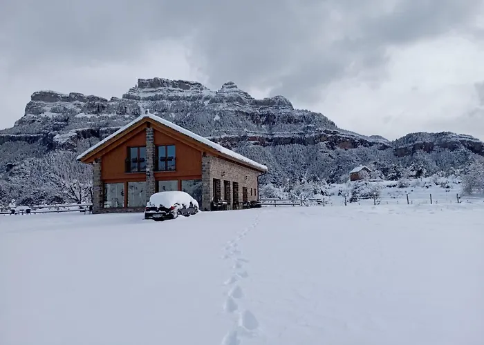 As Fuebas De Patricio