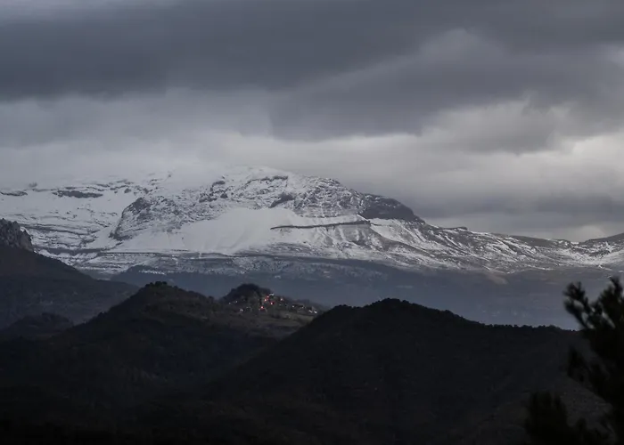 As Fuebas De Patricio Vio