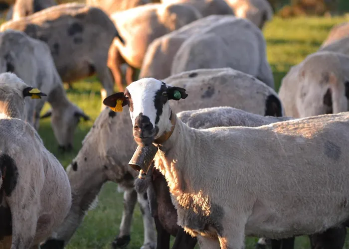 Casa rural As Fuebas De Patricio *