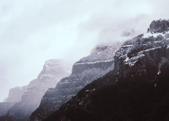 As Fuebas De Patricio Vio