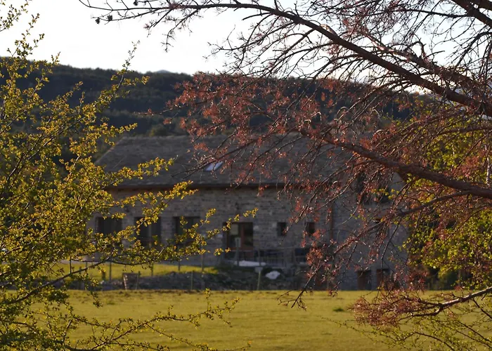 As Fuebas De Patricio