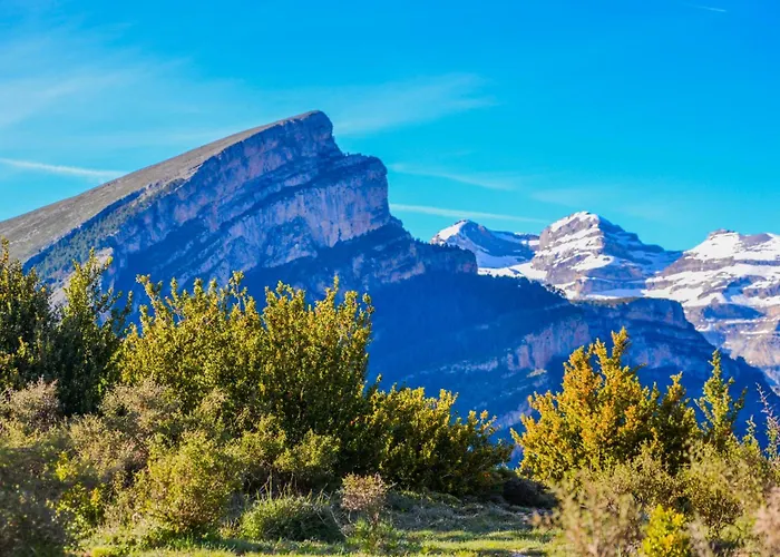 As Fuebas De Patricio Vio