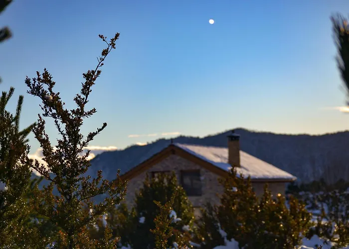 As Fuebas De Patricio *