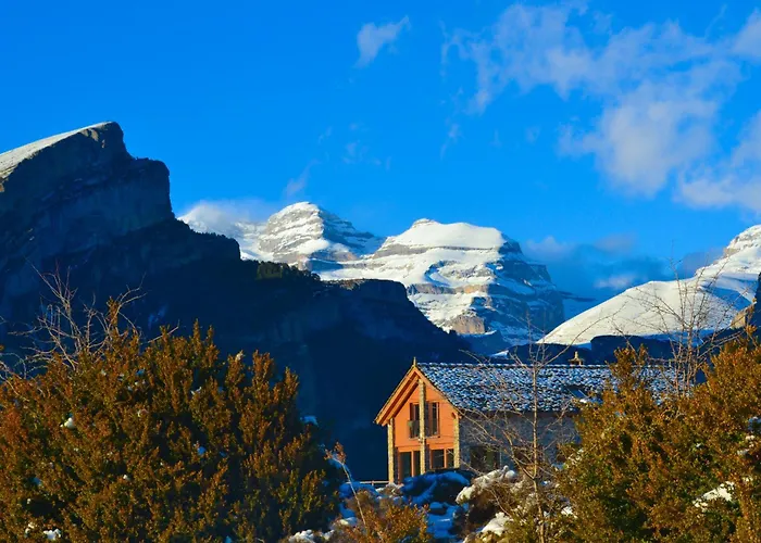 As Fuebas De Patricio * Vio