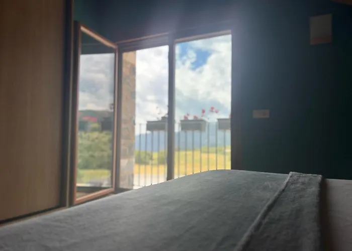 As Fuebas De Patricio Vio