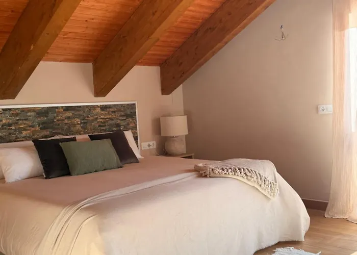 As Fuebas De Patricio *