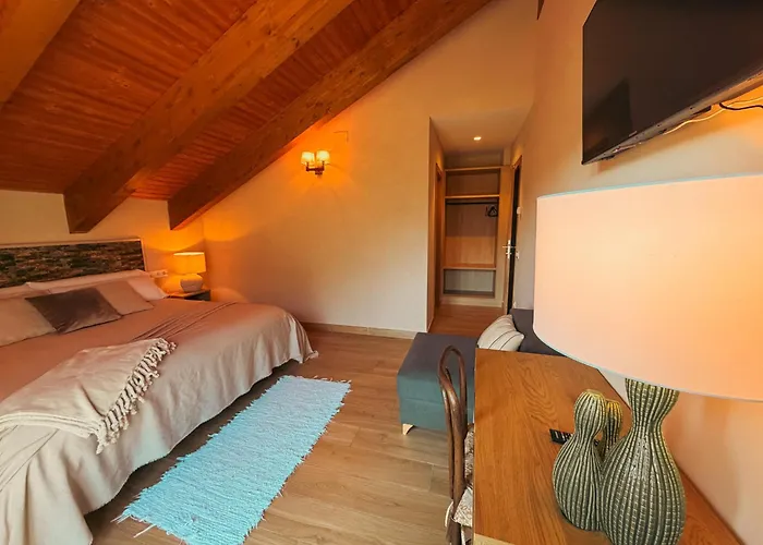 As Fuebas De Patricio Vio