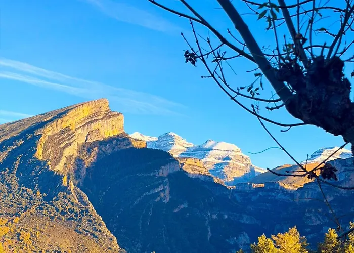 As Fuebas De Patricio Vio